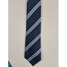 Plume striped Tie
